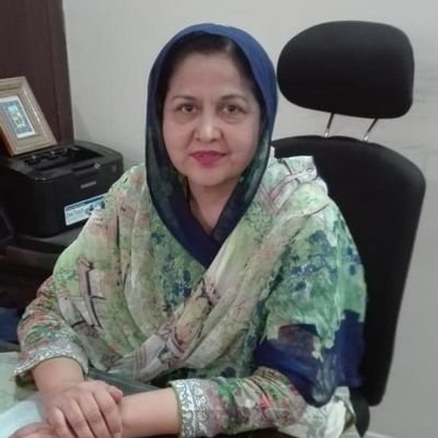 NoreenFarooq01's profile picture. 