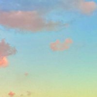 ちぇりぶろ (@tk82470_h) 's Twitter Profile