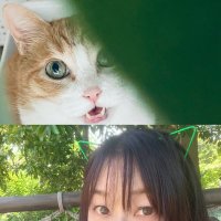 渡邉美佳 (@mikalune) 's Twitter Profile Photo 渡邉美佳 (@mikalune) 's Twitter Profile Photo