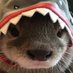 Juka (@jukasuchiha) Twitter profile photo Juka (@jukasuchiha) Twitter profile photo