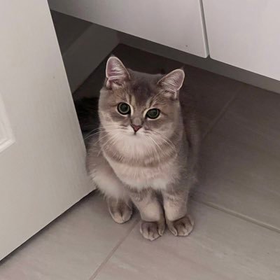 btcFansdotEth's profile picture. 加密货币韭菜….回本路上