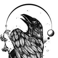 Birdboy | Phoenix Era❔ (@birdskelet0n) 's Twitter Profile