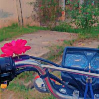 Zeeshan Hassan Gondal (@zeeshan9832) 's Twitter Profile