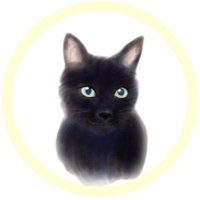 ねこ英会話 🐈‍⬛️英語コーチング×英語ティーチング(@cat_venice) 's Twitter Profile Photo