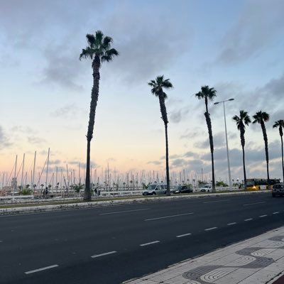 Manurodrigi's profile picture. new