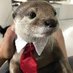 Just a Bean ! (@poroto_frickles) Twitter profile photo Just a Bean ! (@poroto_frickles) Twitter profile photo