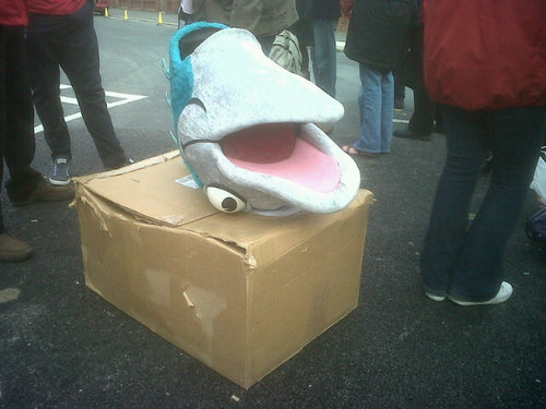 ColinODarmy's profile picture. Cod Army! Fleetwood Town supporter.