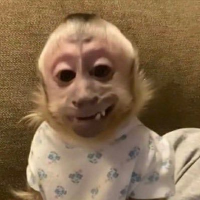 fercheyn's profile picture. soy xgramer