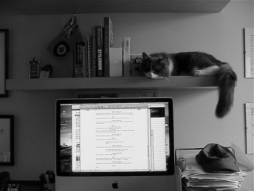 Writer, Public Relations Consultant, voice actor & sometime stage and film performer. Cat owner. Never confuse movement with action... Hemingway.