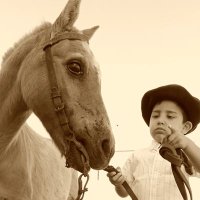 SoleB (@soleeebazan) 's Twitter Profile