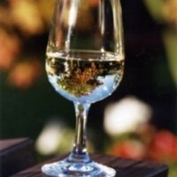 Petra Steuber (@petrasteub44034) 's Twitter Profile