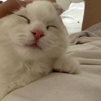 Bert Lockman (@bert_lockm48797) 's Twitter Profile