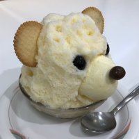IF (@iftabito) 's Twitter Profile Photo IF (@iftabito) 's Twitter Profile Photo