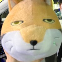 もんこ (@p_qno11) 's Twitter Profile