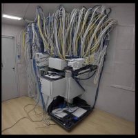 Walton Predovic (@wpredovic99501) 's Twitter Profile