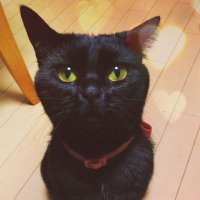 みっくん (@sieruu4v8561963) 's Twitter Profile Photo