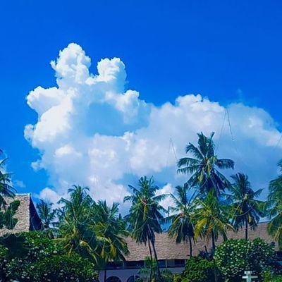 bosieyy's profile picture. Social media #marketer . PRO ~@JenasCommunity
Communication specialist. 
God fearing 🙏. Adventist. Click the link  to donate👉

https://t.co/icwpIMfSex