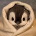Cancamuso (@drumba_) Twitter profile photo Cancamuso (@drumba_) Twitter profile photo