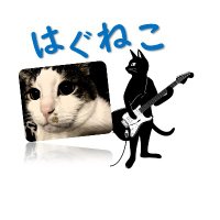 はぐねこ【ギター弾いてオケ作る猫🐱】(@mixture0427) 's Twitter Profile Photo