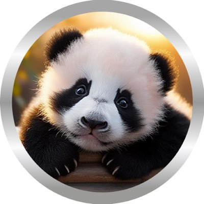 youpanda20221 Profile Picture