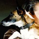 knut_8さんのプロフィール画像