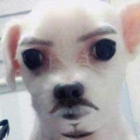 벽이다 (@bbangleft) 's Twitter Profile