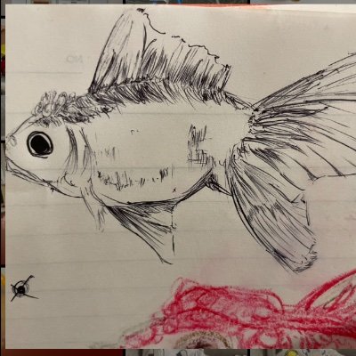 XoiDCaoa3N25028's profile picture. 金魚とメダカ飼育してます。 いつかアロワナも飼いたいですね