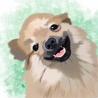 うさきち☺︎たぬ6y🐶しろくろあお (@usausa0422) / X
