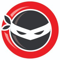 QA Ninjas Technologies Pvt. Ltd.(@QaNinjas) 's Twitter Profile Photo