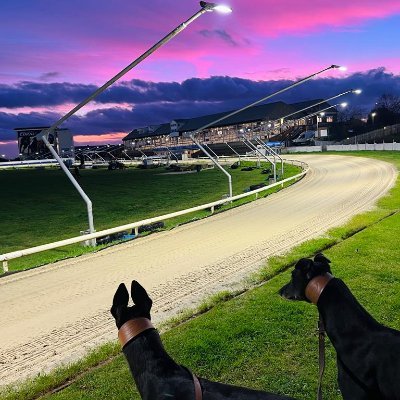 Twitter account for the Hove Racing Office. Entain Track Champions 2021 & 2022 and home of world record breaker - Ballyregan Bob