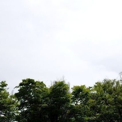 めもさんのプロフィール画像