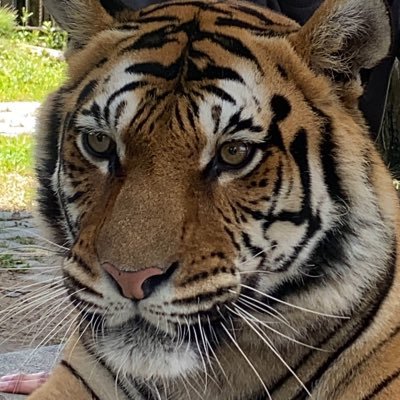 p_marketingdx's profile picture. web広告、マーケティング界隈の方と繋がりたい！気軽にフォロー、リプライ、DMお待ちしています！！！クライアント様のフロント、ASP様とのフロントをしています！！たくさんの方と情報交換できたら嬉しいです！D2C/リード系