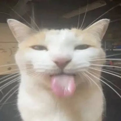 RuchaPhi's profile picture. 