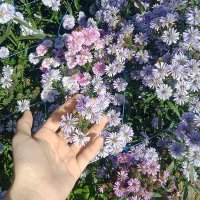 ParkZic (@parkyzic) 's Twitter Profile Photo