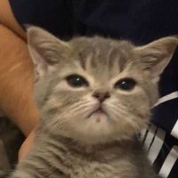Tad Fay (@tadfay186869) 's Twitter Profile