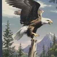 Scot Hessel (@scothessel91755) 's Twitter Profile