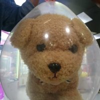 溜 (@omaeisbad) 's Twitter Profile Photo 溜 (@omaeisbad) 's Twitter Profile Photo