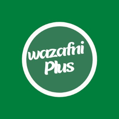 wazafniplus Profile Picture