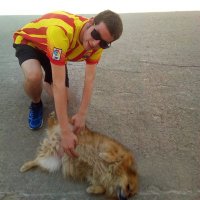 Sergi(@Sergi288) 's Twitter Profile Photo