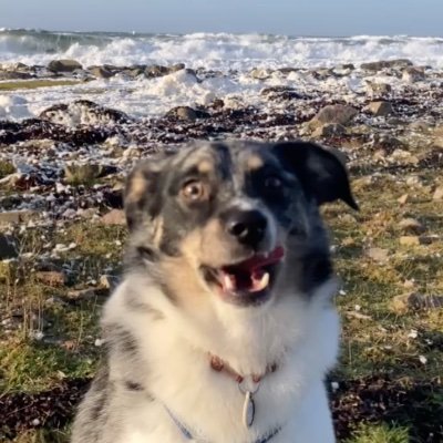 nesterpne's profile picture. 