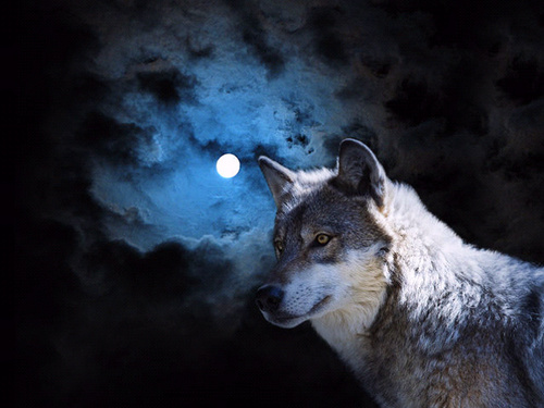 BattsJ's profile picture. married,country boy,and a witch. wanna know more ask me