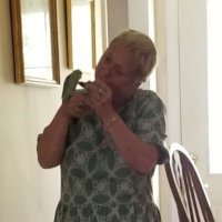 Adolfo Schumm (@aschumm11030) 's Twitter Profile