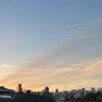 ほし☆ (@star4__8) Twitter profile photo