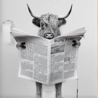 La Misma Vaca. (@mariong7) 's Twitter Profile Photo