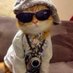 :-) (@jollyhatdogsad) Twitter profile photo :-) (@jollyhatdogsad) Twitter profile photo
