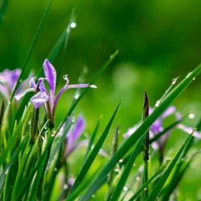 James8071027710's profile picture. 