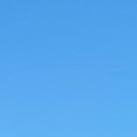 にくまん (@nikumaaannn) Twitter profile photo