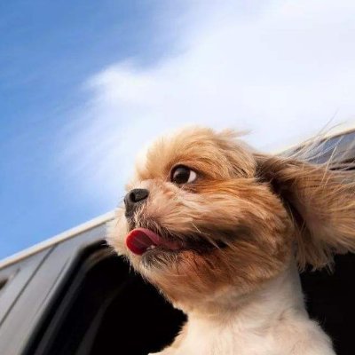 Heather26682254's profile picture. أما بخصوص المرتدين فتذكر دينونة الله: «قد اصابهم ما في المثل الصادق كلب قد عاد الى قيئه وخنزيرة مغتسلة الى مراغة الحمأة». - ٢ بطرس ٢:٢٢.