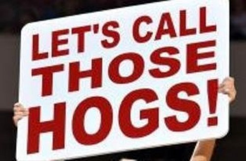 wife, huge hog fan and if you have goats we can be friends😂