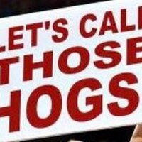 sonichogg (@sonichogg) 's Twitter Profile